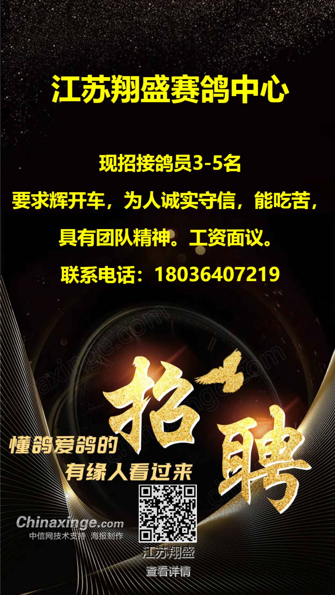 最新賽鴿招工信息匯總，探索職業發展的無限可能，最新賽鴿招工信息匯總，探索職業發展新機遇