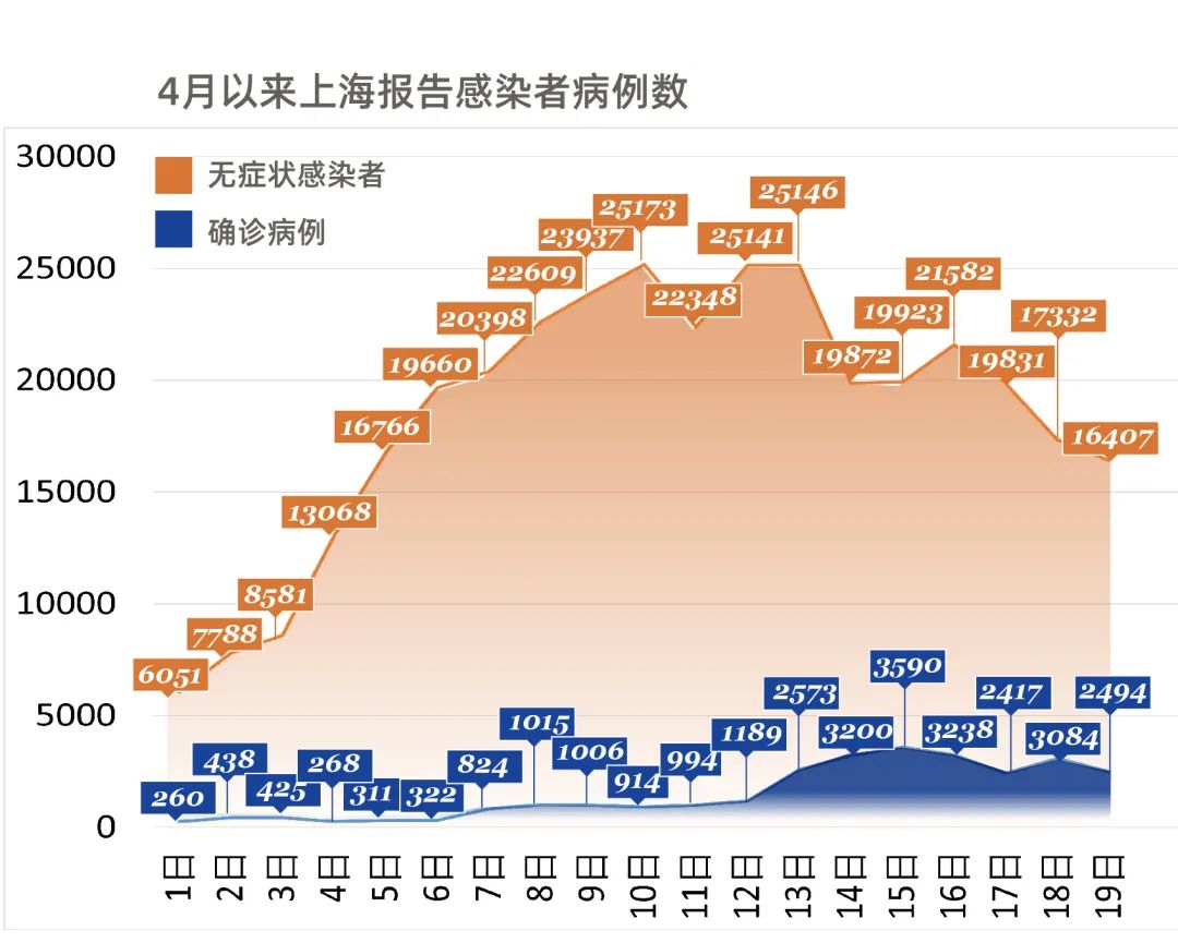 最新上海疫情概況（11月版），上海疫情最新概況概覽（11月版）