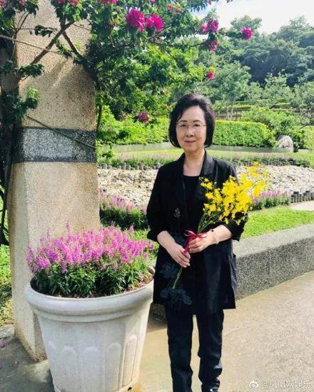 平鑫濤最新動態揭秘，自媒體作者的獨家觀察與解讀，平鑫濤最新動態揭秘，自媒體作者的獨家觀察與解讀文章首發！