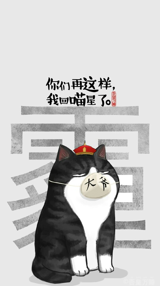 動態(tài)概覽