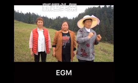 抖音最新火梗現(xiàn)象深度解析，抖音最新火梗現(xiàn)象全面解析