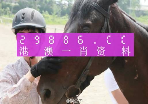 澳門100%最準一肖一碼老奧,確保成語解釋落實的問題_進階版6.662