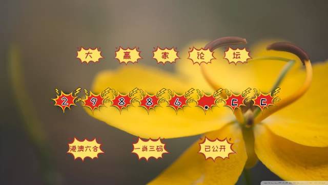 澳門4949開獎結果最快,動態詞語解釋落實_鉆石版2.823