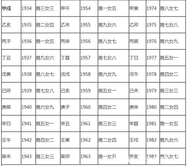 出宮有帶寶,猴弟反成敵指什么生肖,綜合計(jì)劃定義評估_Executive41.247