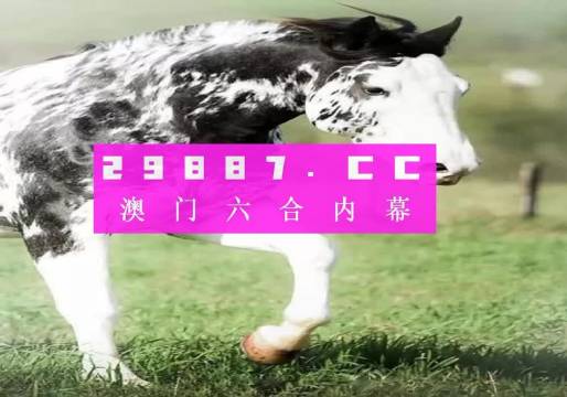 大三巴最準的一肖一碼,精細評估說明_入門版2.462