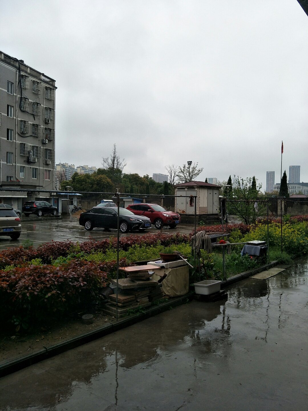 紅陽街道最新天氣預報，氣象信息及生活建議詳解，紅陽街道天氣預報詳解，氣象信息及生活建議匯總