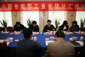 岳陽市市統計局最新招聘信息全面解析，岳陽市統計局最新招聘信息詳解
