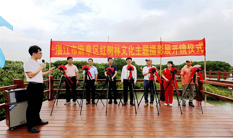 麻章區(qū)文化廣電體育和旅游局最新新聞探索，麻章區(qū)文化廣電體育和旅游局最新新聞探索之旅