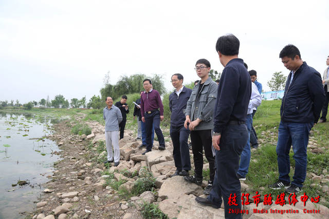 枝江市水利局最新新聞，枝江市水利局最新動(dòng)態(tài)報(bào)道