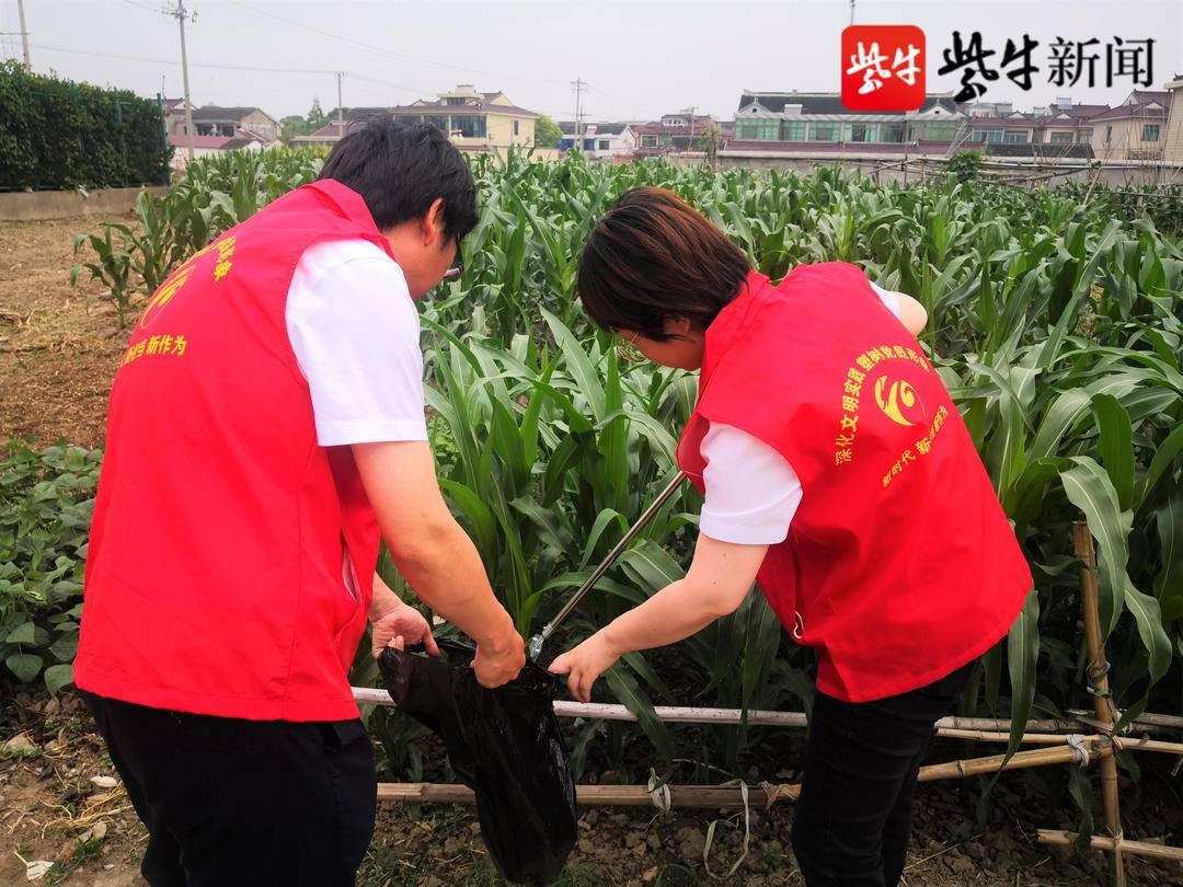 張家港市文化局最新發(fā)展規(guī)劃深度解析，張家港市文化局最新發(fā)展規(guī)劃詳解