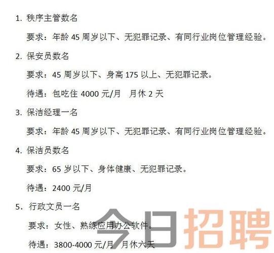 安定區最新招聘信息全解析，安定區最新招聘信息深度解析