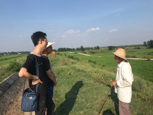 灣李村委會最新新聞，灣李村委會最新動態報道