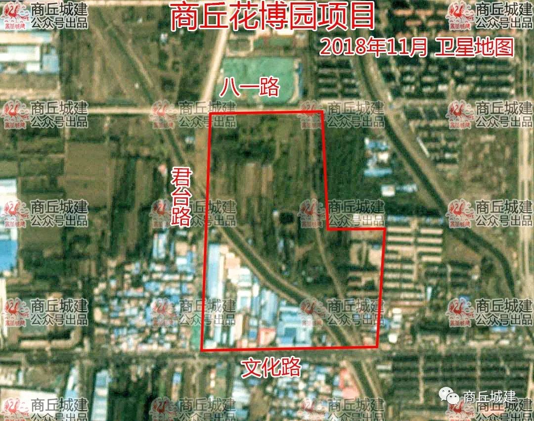 商丘花博園最新消息，綻放的新篇章，商丘花博園新篇章，最新動態(tài)矚目綻放